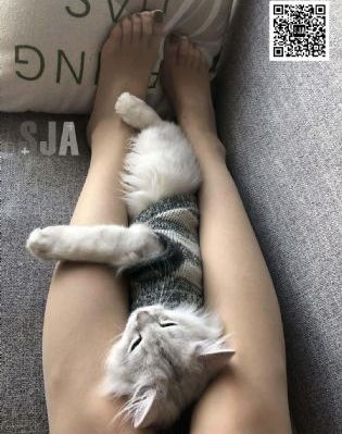 花房姑娘电影_国产剧HD高清在线观看