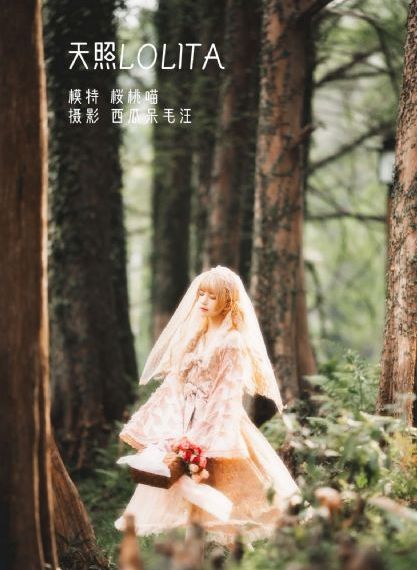 《插曲》电影_720超清在线观看