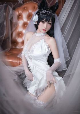 将军动漫大全_BD英语电影完整版在线观看