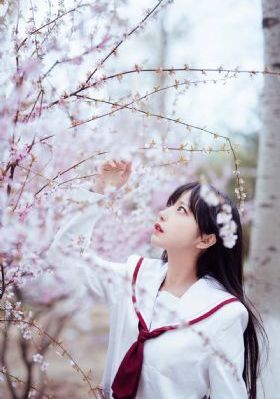 学战都市第一季动漫免费观看_BD英语完整版观看